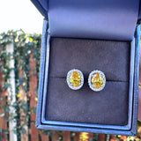 Sterling Silver Citrine Earrings