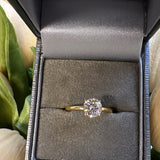 Luna Solitaire Moissanite Ring - Gold