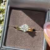 Solitaire Moissanite Ring Set - Gold