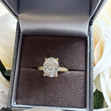 Sterling Silver Halo with Encrusted Band and Hidden Halo Ring- Gold