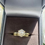 Solitaire Moissanite Ring Set - Gold