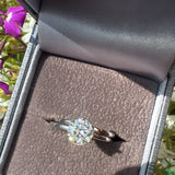 Solitaire Moissanite Ring Set - Silver