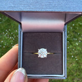 Sterling Silver Gold Plated Sorrento Ring- Up to size U